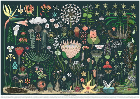 On request - "Flowering Plants" - limited poster print