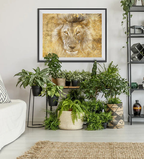 "Golden Simba" - signierter Poster-Print
