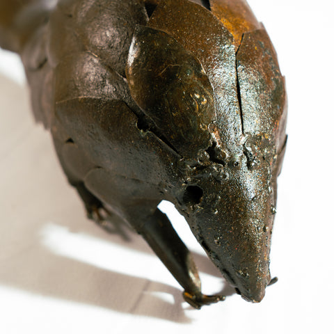 Metal Sculpture Armadillo - Large