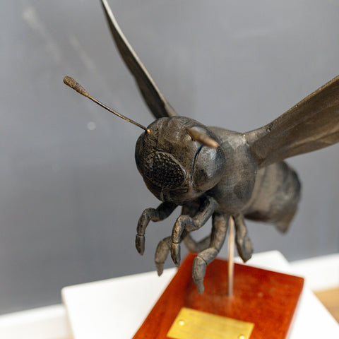 "The Last Rest" - Treibholzskulptur