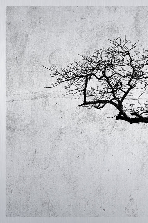 Druck auf gebürstetem Aluminium, Boom 1, erster Teil des dreiteiligen Kunstwerks von der afrikanischen Künstlerin Linnea Frank, auf dem dreiteiligen Kunstwerk ist ein Baum zu sehen. 