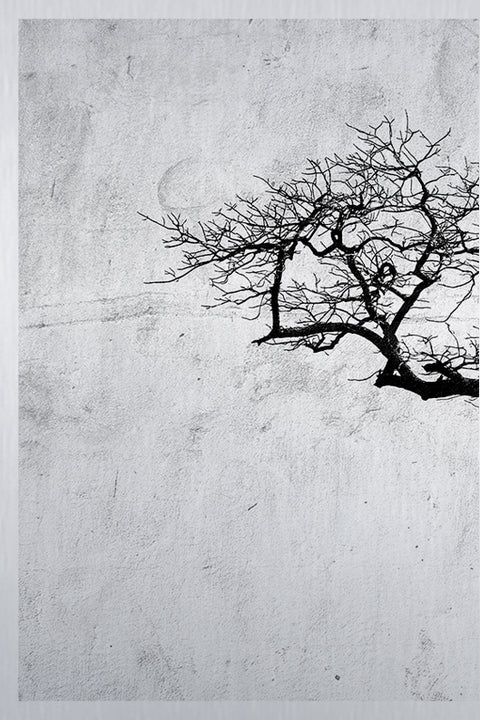 Druck auf gebürstetem Aluminium, Boom 1, erster Teil des dreiteiligen Kunstwerks von der afrikanischen Künstlerin Linnea Frank, auf dem dreiteiligen Kunstwerk ist ein Baum zu sehen.