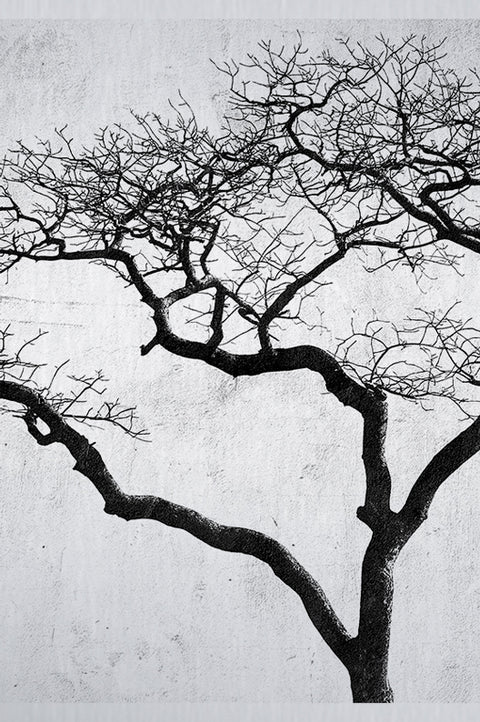 Druck auf gebürstetem Aluminium, Boom 2, zweiter Teil des dreiteiligen Kunstwerks von der afrikanischen Künstlerin Linnea Frank, auf dem dreiteiligen Kunstwerk ist ein Baum zu sehen.