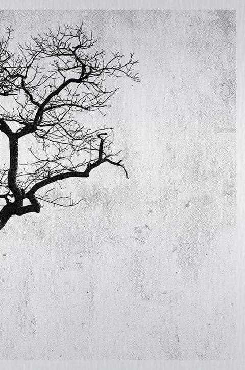 Druck auf gebürstetem Aluminium, Boom 3, dritter Teil des dreiteiligen Kunstwerks von der afrikanischen Künstlerin Linnea Frank, auf dem dreiteiligen Kunstwerk ist ein Baum zu sehen.
