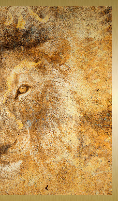 Druck auf Gold-Dibond-Metall, Golden Simba zweiter Teil vom zweitteiligen Kunstwerk von der afrikanischen Künstlerin Linnea Frank, auf dem Kunstwerk ist ein Löwenkopf frontal zu sehen
