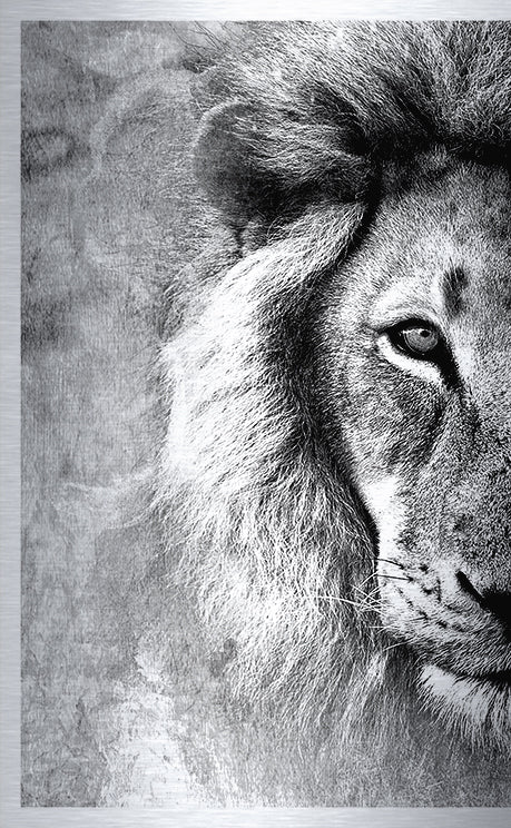 Druck auf gebürstetem Aluminium, Simba 1, erster Teil vom zweiteiligen Kunstwerk von der afrikanischen Künstlerin Linnea Frank, auf dem Kunstwerk ist der Kopf eines Löwen in Frontalansicht zu sehen 