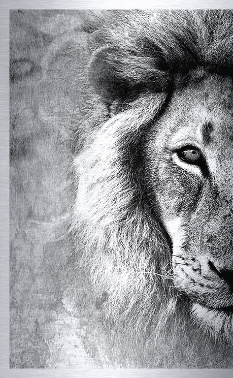 Druck auf gebürstetem Aluminium, Simba 1, erster Teil vom zweiteiligen Kunstwerk von der afrikanischen Künstlerin Linnea Frank, auf dem Kunstwerk ist der Kopf eines Löwen in Frontalansicht zu sehen