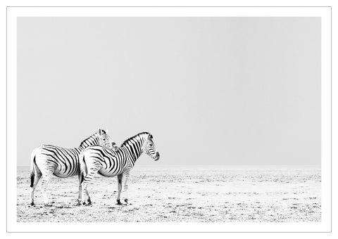 Print, Fotografie auf Hahnemühle Archivpapier, „Zebra 2 Landscape“ vom afrikanischen Künstler Nigel Whitehead, auf dem Kunstwerk sind zwei Zebras in Afrika zu sehen