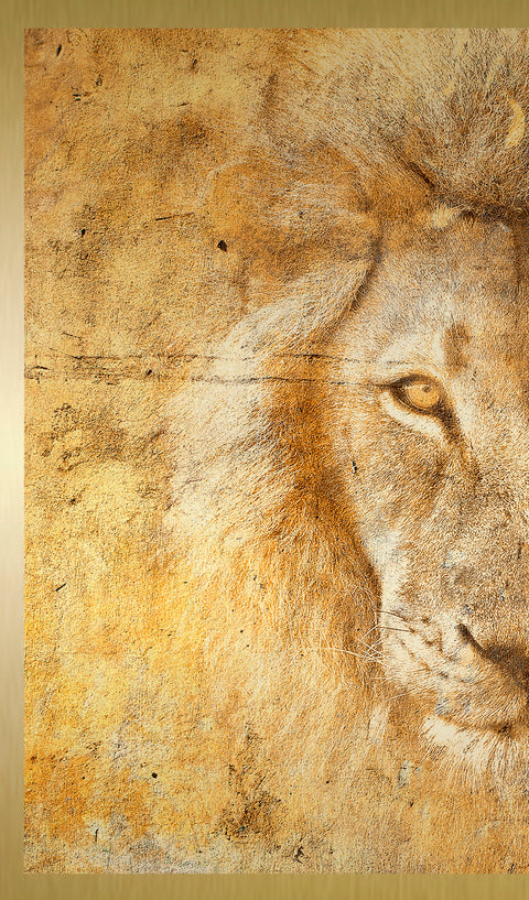 Druck auf Gold-Dibond-Metall, Golden Simba erster Teil vom zweitteiligen Kunstwerk von der afrikanischen Künstlerin Linnea Frank, auf dem Kunstwerk ist ein Löwenkopf frontal zu sehen